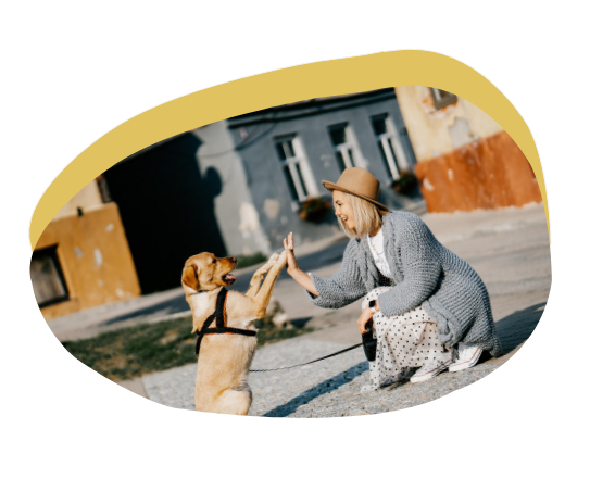 犬の写真です.