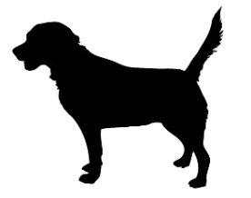 犬の画像です。