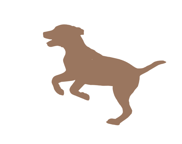 犬の画像です。